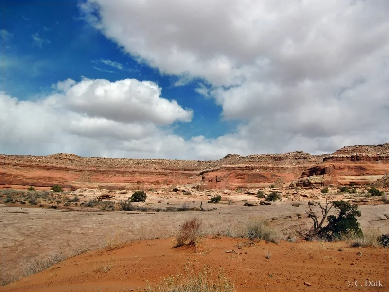 Rainbow Rocks Trail, Moab, UT