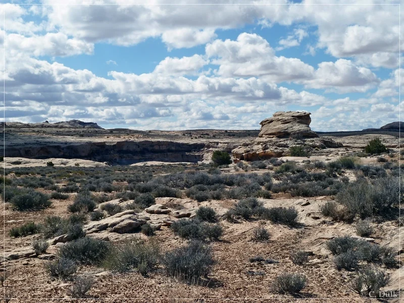 Rock Canyon Point, Moab, UT