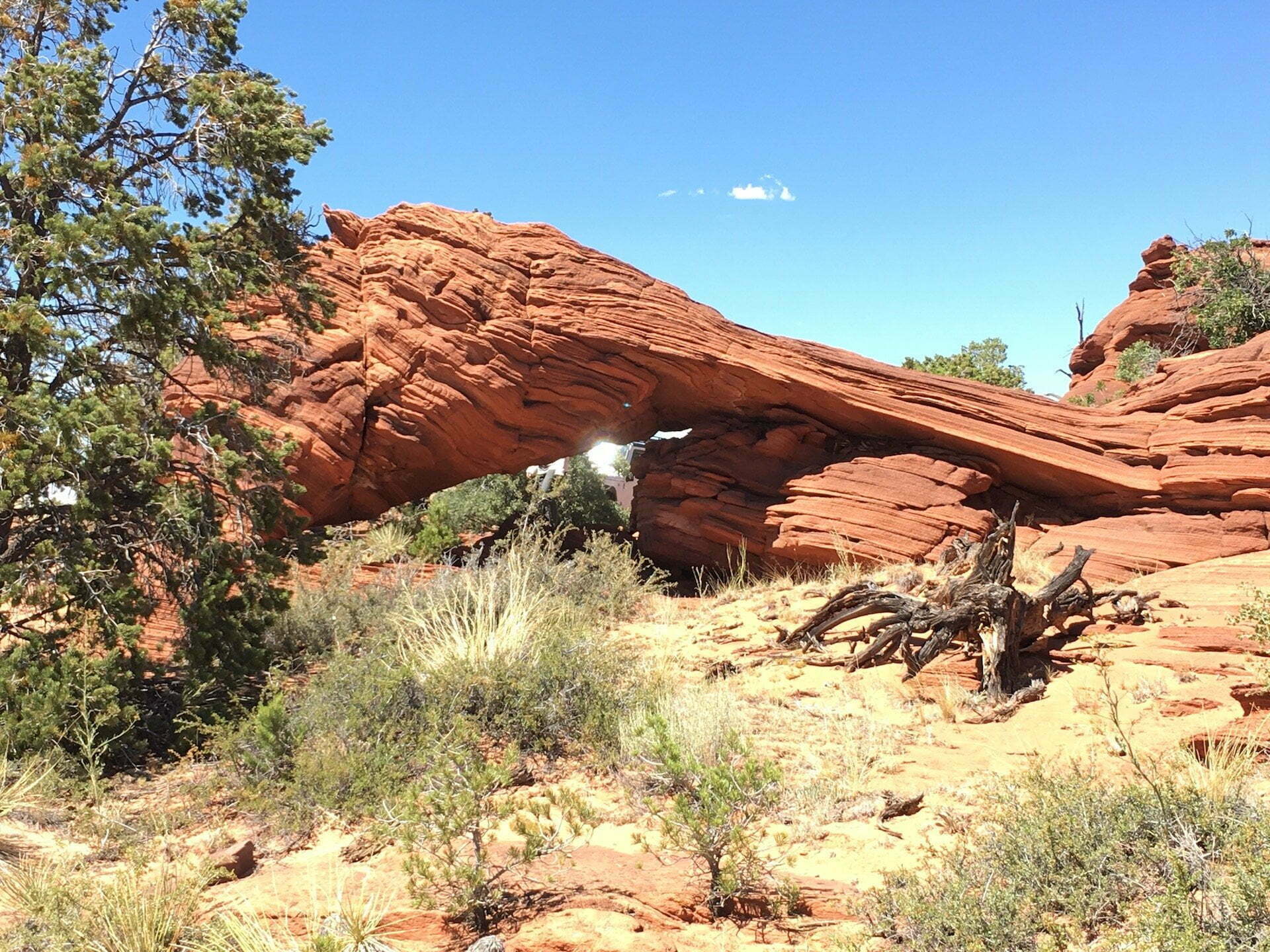 Tracklog: Two Mile Spring, Four Springs, Lunch Spot Arch and Paw Hole, Vermilion Cliffs NM, AZ